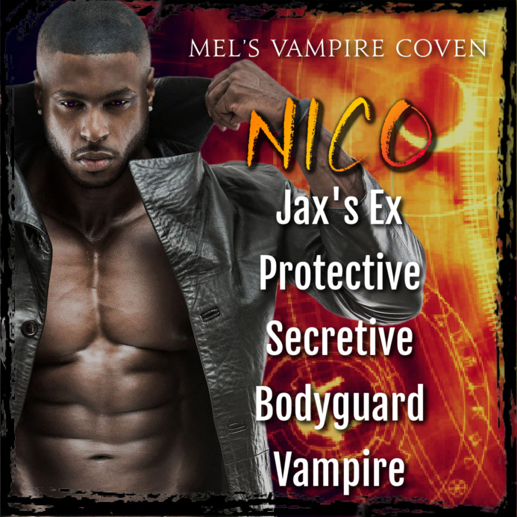 Nico is Jax's Ex and a Protective, Secretive Bodyguard and Vampire